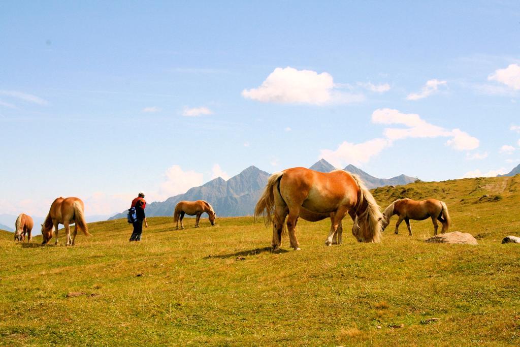 Hotel Laerchenhof Natur Seefeld in Tirol Bagian luar foto